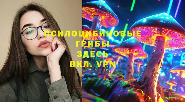 МДПВ Алексин
