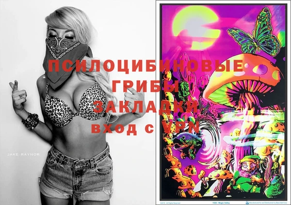МДПВ Алексин