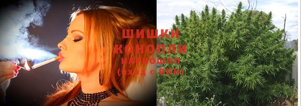 spice Арсеньев